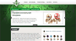 Desktop Screenshot of kendamania.ru